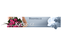 Mazzi di fiori online Repubblica Ceca